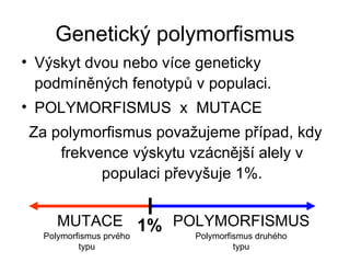 Genetický polymorfismus Výskyt dvou nebo více geneticky podmíněných fenotypů v populaci. POLYMORFISMUS  x  MUTACE Za polymorfismus považujeme případ, kdy frekvence výskytu vzácnější alely v populaci převyšuje 1%. 1% MUTACE POLYMORFISMUS Polymorfismus prvého typu Polymorfismus druhého typu 