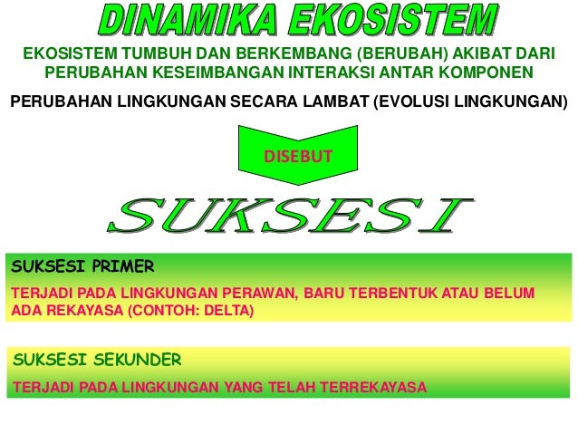 Ekologi lingkungan02 suning_universitas pgri adi buana 