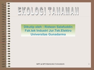 EKOLOGI TANAMAN Dikutip oleh : Ridwan Salafuddin Fak.tek Industri Jur.Tek.Elektro Universitas Gunadarma 