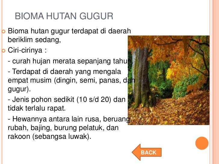 Ekologi Ekologi