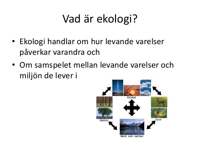 vad är ekologi