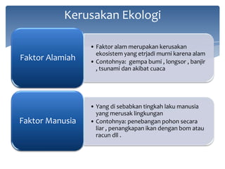 Kerusakan Ekologi

Faktor Alamiah

• Faktor alam merupakan kerusakan
ekosistem yang etrjadi murni karena alam
• Contohnya: gempa bumi , longsor , banjir
, tsunami dan akibat cuaca

Faktor Manusia

• Yang di sebabkan tingkah laku manusia
yang merusak lingkungan
• Contohnya: penebangan pohon secara
liar , penangkapan ikan dengan bom atau
racun dll .

 