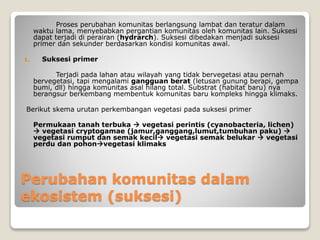 Perubahan komunitas dalam
ekosistem (suksesi)
Proses perubahan komunitas berlangsung lambat dan teratur dalam
waktu lama, menyebabkan pergantian komunitas oleh komunitas lain. Suksesi
dapat terjadi di perairan (hydrarch). Suksesi dibedakan menjadi suksesi
primer dan sekunder berdasarkan kondisi komunitas awal.
1. Suksesi primer
Terjadi pada lahan atau wilayah yang tidak bervegetasi atau pernah
bervegetasi, tapi mengalami gangguan berat (letusan gunung berapi, gempa
bumi, dll) hingga komunitas asal hilang total. Substrat (habitat baru) nya
berangsur berkembang membentuk komunitas baru kompleks hingga klimaks.
Berikut skema urutan perkembangan vegetasi pada suksesi primer
Permukaan tanah terbuka  vegetasi perintis (cyanobacteria, lichen)
 vegetasi cryptogamae (jamur,ganggang,lumut,tumbuhan paku) 
vegetasi rumput dan semak kecil vegetasi semak belukar  vegetasi
perdu dan pohonvegetasi klimaks
 