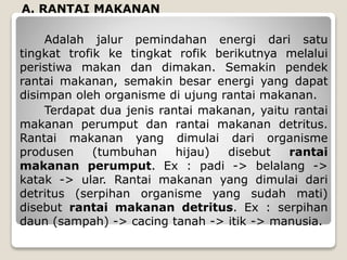 A. RANTAI MAKANAN
Adalah jalur pemindahan energi dari satu
tingkat trofik ke tingkat rofik berikutnya melalui
peristiwa makan dan dimakan. Semakin pendek
rantai makanan, semakin besar energi yang dapat
disimpan oleh organisme di ujung rantai makanan.
Terdapat dua jenis rantai makanan, yaitu rantai
makanan perumput dan rantai makanan detritus.
Rantai makanan yang dimulai dari organisme
produsen (tumbuhan hijau) disebut rantai
makanan perumput. Ex : padi -> belalang ->
katak -> ular. Rantai makanan yang dimulai dari
detritus (serpihan organisme yang sudah mati)
disebut rantai makanan detritus. Ex : serpihan
daun (sampah) -> cacing tanah -> itik -> manusia.
 