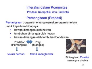 Predasi Komunitas dan Ekosistem: Interaksi, Suksesi, dan Siklus Materi | PPT