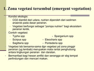 1.
1. Zona
Zona vegetasi
vegetasi tersembul
tersembul (emergent vegetation)
(emergent vegetation)
ƒ Kondisi ekologis:
ƒ CO2 diambil dari udara, nutrien diperoleh dari sedimen
anaerob pada dasar perairan.
ƒ Vegetasi berfungsi sebagai “pompa nutrien” bagi ekosistem
perairan lentik.
ƒ Contoh vegetasi:
ƒ Typha spp - Sparganium spp
ƒ Scirpus spp - Eleocharis spp
ƒ Sagittaria spp - Pontederia spp
ƒ Vegetasi tsb bersama-sama dgn vegetasi pd zona pinggir
perairan (yg lembab) merupakan mata rantai penghubung
antara lingkungan perairan dan daratan.
ƒ Bermanfaat bagi hewan amfibi dan serangga air sbg tempat
perlindungan dan mencari makan.
 