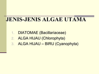JENIS
JENIS-
-JENIS ALGAE UTAMA
JENIS ALGAE UTAMA
1. DIATOMAE (Bacillariaceae)
2. ALGA HIJAU (Chlorophyta)
3. ALGA HIJAU – BIRU (Cyanophyta)
 