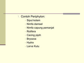 1. Contoh Periphyton:
ƒ Siput kolam
ƒ Nimfa damsel
ƒ Nimfa capung pemanjat
ƒ Rotifera
ƒ Cacing pipih
ƒ Bryozoa
ƒ Hydra
ƒ Larva Kutu
 