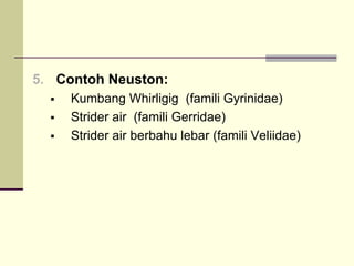 5. Contoh Neuston:
ƒ Kumbang Whirligig (famili Gyrinidae)
ƒ Strider air (famili Gerridae)
ƒ Strider air berbahu lebar (famili Veliidae)
 