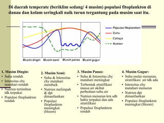 Di
Di daerah
daerah temperate (
temperate (beriklim
beriklim sedang
sedang/ 4
/ 4 musim
musim)
) populasi
populasi fitoplankton
fitoplankton di
di
danau
danau dan
dan kolam
kolam seringkali
seringkali naik
naik turun
turun tergantung
tergantung pada
pada musim
musim saat
saat itu
itu.
.
1. Musim Dingin:
• Suhu rendah
• Intensitas chy
matahari rendah
• Nutrien tertimbun
tdk terpakai
• Populasi fitoplankton
rendah
2. Musim Semi:
• Suhu & Intensitas
chy matahari
membaik
• Nutrien melimpah
& dpt
dimanfaatkan
• Populasi
fitoplankton
meningkat
(bloom)
3. Musim Panas:
• Suhu & Intensitas chy
matahari meningkat
• Terbentuk stratifikasi
massa air akibat
perbedaan suhu air
• Nutrien menurun krn sdh
habis terpakai dan ada
stratifikasi
• Populasi fitoplankton
rendah
4. Musim Gugur:
• Suhu mulai menurun,
stratifikasi air tdk ada
• Intensitas chy
matahari menurun
• Nutrien dpt
dimanfaatkan
• Populasi fitoplankton
meningkat (bloom)
 
