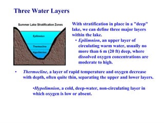 With stratification in place in a "deep"
lake, we can define three major layers
within the lake.
• Epilimnion, an upper layer of
circulating warm water, usually no
more than 6 m (20 ft) deep, where
dissolved oxygen concentrations are
moderate to high.
Three Water Layers
• Thermocline, a layer of rapid temperature and oxygen decrease
with depth, often quite thin, separating the upper and lower layers.
•Hypolimnion, a cold, deep-water, non-circulating layer in
which oxygen is low or absent.
 
