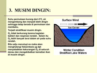 3. MUSIM DINGIN:
ƒ Suhu permukaan kurang dari 4°C, air
mengembang dan menjadi lebih dingin
sehingga tetap berada di permukaan dan
membeku.
ƒ Terjadi stratifikasi musim dingin.
ƒ O2 tidak berkurang karena kegiatan
bakteri dan respirasi rendah. Selain itu
O2 lebih banyak larut dalam air pada suhu
rendah.
ƒ Bila salju menutupi es maka akan
menghalangi fotosintesis yg dpt
menyebabkan kekurangan O2 di seluruh
danau dan mengakibatkan kematian ikan
di musim dingin.
 