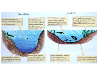 Ekologi-Perairan-Tawar-Fresh-Waters.pdf