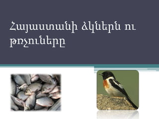 Հայաստանի ձկներն ու
թռչուները
 