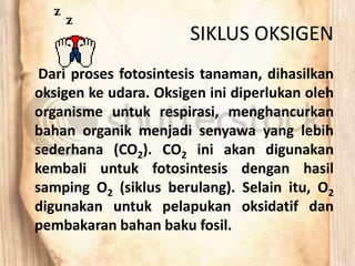 SIKLUS OKSIGEN
Dari proses fotosintesis tanaman, dihasilkan
oksigen ke udara. Oksigen ini diperlukan oleh
organisme untuk respirasi, menghancurkan
bahan organik menjadi senyawa yang lebih
sederhana (CO2). CO2 ini akan digunakan
kembali untuk fotosintesis dengan hasil
samping O2 (siklus berulang). Selain itu, O2
digunakan untuk pelapukan oksidatif dan
pembakaran bahan baku fosil.
 