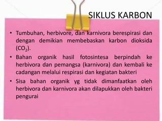 SIKLUS KARBON
• Tumbuhan, herbivore, dan karnivora berespirasi dan
dengan demikian membebaskan karbon dioksida
(CO2).
• Bahan organik hasil fotosintesa berpindah ke
herbivora dan pemangsa (karnivora) dan kembali ke
cadangan melalui respirasi dan kegiatan bakteri
• Sisa bahan organik yg tidak dimanfaatkan oleh
herbivora dan karnivora akan dilapukkan oleh bakteri
pengurai
 