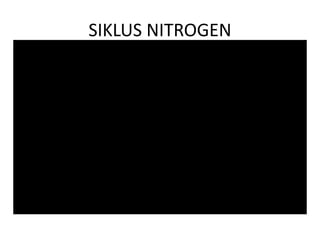 SIKLUS NITROGEN
 