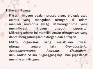 1. Fiksasi Nitrogen
Fiksasi nitrogen adalah proses alam, biologis atau
abiotik yang mengubah nitrogen di udara
menjadi ammonia (NH3). Mikroorganisme yang
mem-fiksasi nitrogen disebut diazotrof.
Mikroorganisme ini memiliki enzim nitrogenaze yang
dapat menggabungkan hidrogen dan nitrogen.
Mikro organisme yang melakukan fiksasi
nitrogen antara lain Cyanobacteria,
Azotobacteraceae, Rhizobia, Clostridium,
dan Frankia. Selain itu ganggang hijau biru juga dapat
memfiksasi nitrogen.
 