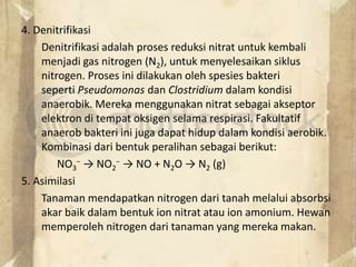 4. Denitrifikasi
Denitrifikasi adalah proses reduksi nitrat untuk kembali
menjadi gas nitrogen (N2), untuk menyelesaikan siklus
nitrogen. Proses ini dilakukan oleh spesies bakteri
seperti Pseudomonas dan Clostridium dalam kondisi
anaerobik. Mereka menggunakan nitrat sebagai akseptor
elektron di tempat oksigen selama respirasi. Fakultatif
anaerob bakteri ini juga dapat hidup dalam kondisi aerobik.
Kombinasi dari bentuk peralihan sebagai berikut:
NO3
− → NO2
− → NO + N2O → N2 (g)
5. Asimilasi
Tanaman mendapatkan nitrogen dari tanah melalui absorbsi
akar baik dalam bentuk ion nitrat atau ion amonium. Hewan
memperoleh nitrogen dari tanaman yang mereka makan.
 