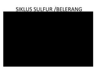 SIKLUS SULFUR /BELERANG
 