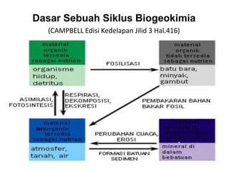 Dasar Sebuah Siklus Biogeokimia
(CAMPBELL Edisi Kedelapan Jilid 3 Hal.416)
 