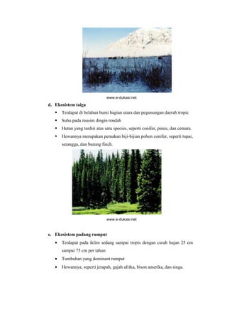 www.e-dukasi.net 
d. Ekosistem taiga 
 Terdapat di belahan bumi bagian utara dan pegunungan daerah tropic 
 Suhu pada musim dingin rendah 
 Hutan yang terdiri atas satu species, seperti conifer, pinus, dan cemara. 
 Hewannya merupakan pemakan biji-bijian pohon conifer, seperti tupai, 
serangga, dan burung finch. 
www.e-dukasi.net 
e. Ekosistem padang rumput 
· Terdapat pada iklim sedang sampai tropis dengan curah hujan 25 cm 
sampai 75 cm per tahun 
· Tumbuhan yang dominant rumput 
· Hewannya, seperti jerapah, gajah afrika, bison amerika, dan singa. 
 