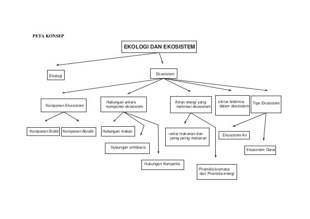 Ekologi dan konsep_ekosistem