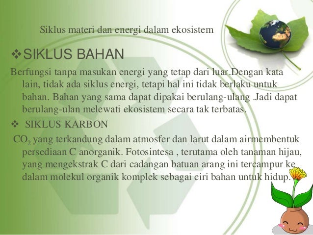 Ekologi dan perannya dalam kehidupan