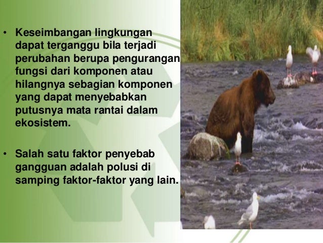 Ekologi dan perannya dalam kehidupan
