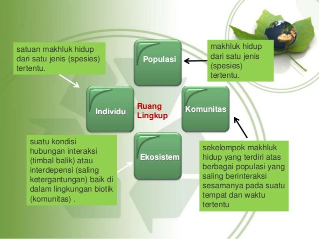 Innova Height: Memahami Fenomena Tinggi Badan dan Perannya dalam Kehidupan