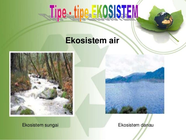 Contoh Contoh Ekosistem Air Tawar - 600 Tips