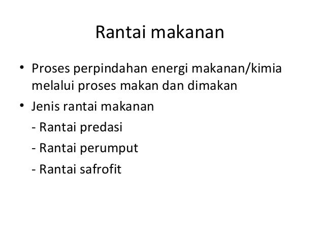 Ekologi hewan