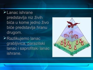  Lanac ishrane
  predstavlja niz živih
  bića u kome jedno živo
  biće predstavlja hranu
  drugom.
 Razlikujemo lanac
  grabljivica, parazitski
  lanac i saprofitski lanac
  ishrane.
 