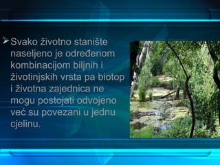  Svako životno stanište
  naseljeno je određenom
  kombinacijom biljnih i
  životinjskih vrsta pa biotop
  i životna zajednica ne
  mogu postojati odvojeno
  već su povezani u jednu
  cjelinu.
 