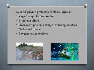 .
Neki od glavnih problema ekološke krize su:
• Zagađivanje životne sredine
• Promjena klime
• Ozonske rupe i uništavanje ozonskog omotača
• Nedostatak hrane
• Povećanje stanovništva
 
