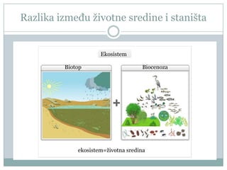 Razlika između ţivotne sredine i staništa

Ekosistem
Biotop

Biocenoza

ekosistem=ţivotna sredina

 