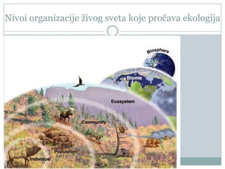 Nivoi organizacije ţivog sveta koje pročava ekologija

 