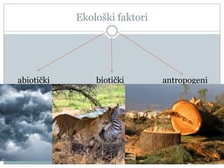 Ekološki faktori

abiotički

biotički

antropogeni

 