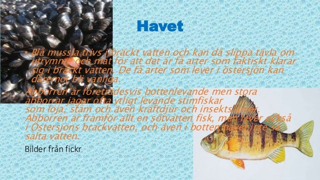 Vad är den äldsta kol dating