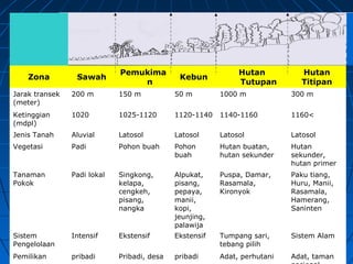 Zona Sawah
Pemukima
n
Kebun
Hutan
Tutupan
Hutan
Titipan
Jarak transek
(meter)
200 m 150 m 50 m 1000 m 300 m
Ketinggian
(mdpl)
1020 1025-1120 1120-1140 1140-1160 1160<
Jenis Tanah Aluvial Latosol Latosol Latosol Latosol
Vegetasi Padi Pohon buah Pohon
buah
Hutan buatan,
hutan sekunder
Hutan
sekunder,
hutan primer
Tanaman
Pokok
Padi lokal Singkong,
kelapa,
cengkeh,
pisang,
nangka
Alpukat,
pisang,
pepaya,
manii,
kopi,
jeunjing,
palawija
Puspa, Damar,
Rasamala,
Kironyok
Paku tiang,
Huru, Manii,
Rasamala,
Hamerang,
Saninten
Sistem
Pengelolaan
Intensif Ekstensif Ekstensif Tumpang sari,
tebang pilih
Sistem Alam
Pemilikan pribadi Pribadi, desa pribadi Adat, perhutani Adat, taman
 