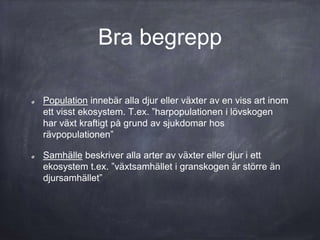 Bra begrepp
Population innebär alla djur eller växter av en viss art inom
ett visst ekosystem. T.ex. ”harpopulationen i lövskogen
har växt kraftigt på grund av sjukdomar hos
rävpopulationen”
Samhälle beskriver alla arter av växter eller djur i ett
ekosystem t.ex. ”växtsamhället i granskogen är större än
djursamhället”
 