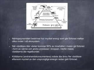 Näringspyramiden beskriver hur mycket energi som går förlorad mellan
olika nivåer i ett ekosystem.
När växtätare äter växter kommer 90% av innehållet i maten gå förlorad
i form av värme och andra processer i kroppen. Därför måste
växtätarna äta regelbundet.
Köttätarna (andrahandskonsumentera) måste äta ännu fler växtätare
eftersom mycket av den ursprungliga energin redan gått förlorad.
 