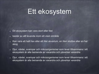 Ett ekosystem
Ett ekosystem kan vara stort eller litet
består av allt levande inom ett visst område
Kan vara ett helt hav eller ett litet akvarium, en liten stubbe eller en hel
skog
Djur, växter, svampar och mikroorganismer som lever tillsammans i ett
ekosystem är alla beroende av varandra och påverkar varandra
Djur, växter, svampar och mikroorganismer som lever tillsammans i ett
ekosystem är alla beroende av varandra och påverkar varandra
 