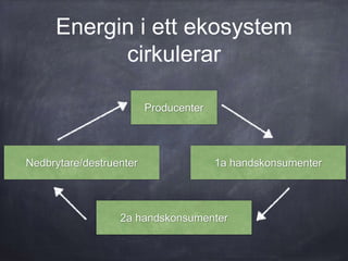 Energin i ett ekosystem
cirkulerar
Producenter
1a handskonsumenter
2a handskonsumenter
Nedbrytare/destruenter
 