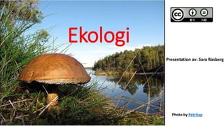 Ekologi
Photo by Petritap
Presentation av: Sara Rosberg
 