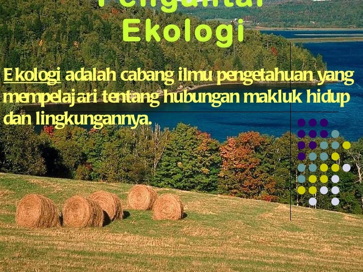 Unduh 7800 Koleksi Gambar Ekologi Lingkungan Paling Bagus Gratis HD