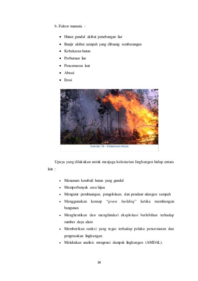Ekologi Lingkungan 62524941