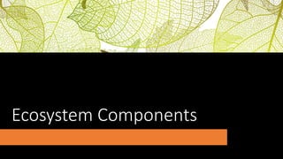 Ecosystem Components
 