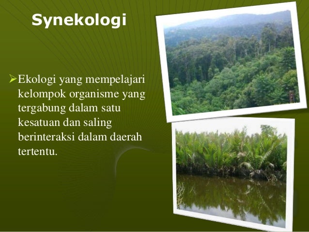 Ekologi Tumbuhan