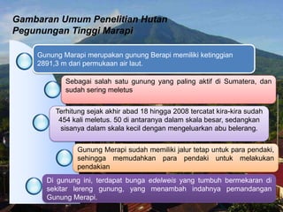 Gambaran Umum Penelitian Hutan
Pegunungan Tinggi Marapi
Gunung Marapi merupakan gunung Berapi memiliki ketinggian
2891,3 m...